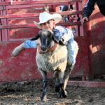 Mutton Busting is a favorite event at the Fillmore County Fair. Photo by Barb Jeffers, Fillmore County Journal and Bluff Country Photography