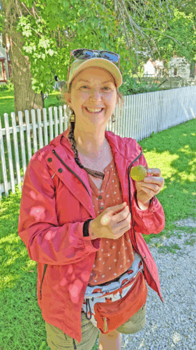 Naturalist Sarah Grover at the Historic Forestville stop of the “Ghost Towns of Southeastern Minnesota” Historic Adventure Travel Tours shows an Ohio buckeye said to be planted by orator William Jennings Bryan who joined Thomas Meighen for dinner. Photo by SimplyMary