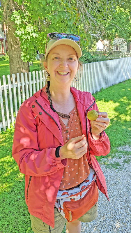 Naturalist Sarah Grover at the Historic Forestville stop of the “Ghost Towns of Southeastern Minnesota” Historic Adventure Travel Tours shows an Ohio buckeye said to be planted by orator William Jennings Bryan who joined Thomas Meighen for dinner. Photo by SimplyMary