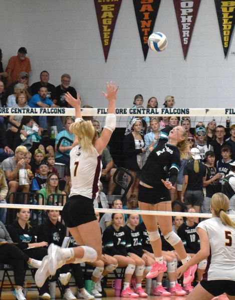 Hannah Vaalemoen eyes the attack in #4 in Class A Fillmore Central’s game with #4 in Class AAA Stewartville. FC fell to the Tigers, but in five sets (25-23, 22-25, 14-25, 25-23, 11-15), then later went on take third at the prestigious Class A Showcase. Up to #3 in the Class A polls, FC (5-0, 13-4) leads the TRC with Caledonia (6-0, 15-3). Photo by Deb Finseth