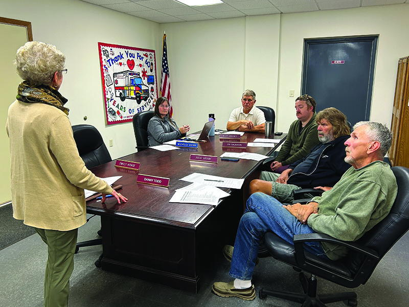 The Houston City Council listens to Marilyn Frauenkron Bayer as she explains the Design Team grant application process. From left to right: Marilyn Frauenkron Bayer, City Administrator Michelle Quinn, Mayor Scott Wallace, Zeb Baumann, Steve Westby and Danny Todd. Emily Krage was absent. Photo byWanda Hanson