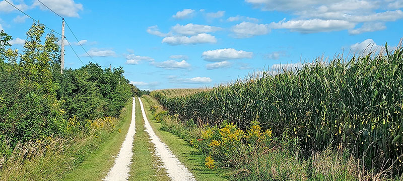 Photo by Pastor Mark Woodward