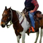 Dennis Fishbaugher obituary, Fillmore County Journal