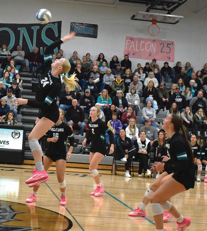 Fillmore Central’s Aubrey Daniels, Hannah Vaalemoen, and Kyla Hellickson watch teammate Madi Zwart swing hard in the Falcons’ 3-0 Round of 16 playoff win over Hayfield. FC, ranked #4 in A, moved on to the section quarterfinals. Photo by Deb Finseth