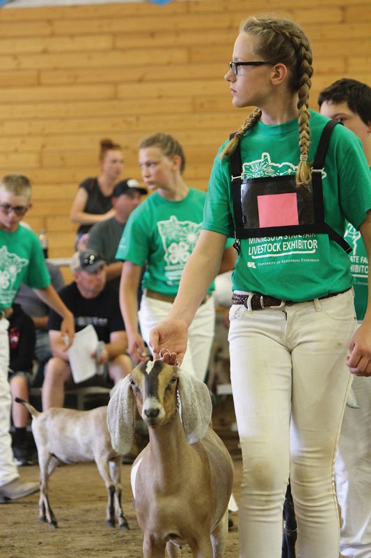 Kathleen Zoellner at the Minnesota State Fair 4-H Dairy goat competition, where she won grand champion.