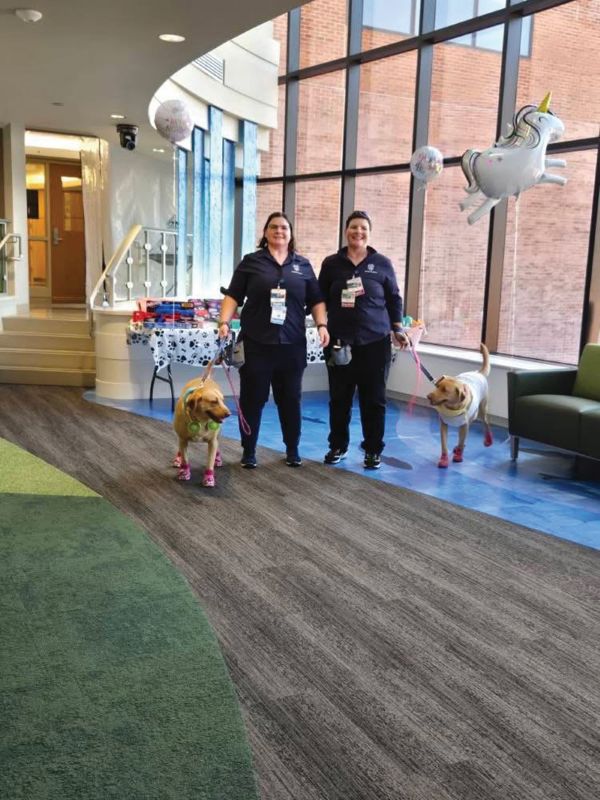 When Golden Twin Toy Drive sets up for a birthday party, hospitalized children and their parents are filled with gratitude. Photo submitted