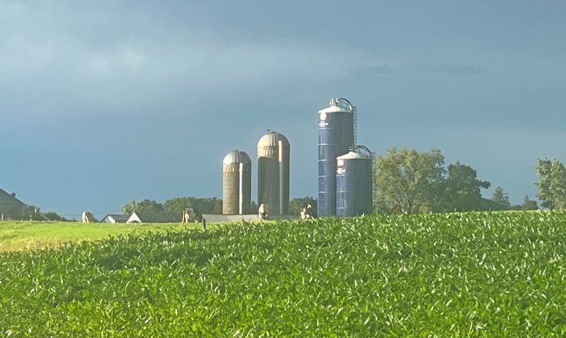 The Fingerson family farm, home to Shirley. Photo submitted