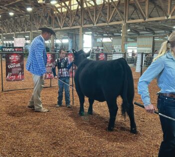Judge Jeff Jackson, who hails from Texas, talks to Channing Lind about his Angus heifer. Photo by Wanda Hanson