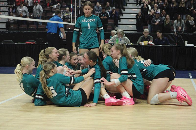 Fillmore Central volleyball celebrates repeating as Section 1A champion. The #4 in A Falcons romped through the section playoffs losing just one set including handily handling Alden-Conger (25-17, 25-9, 25-17) in the semifinals and #7 Kenyon-Wanamingo (25-19, 25-16, 25-12) in the finals. Photo by Paul Trende