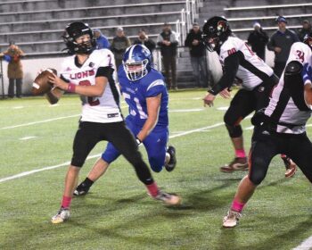 Mabel-Canton’s Milton Hutchinson closes in on Spring Grove quarterback Dylan Halverson. The senior Hutchinson was again a key cog defensively as the Cougars topped the Lions 16-0 to win the Section 1 9-Man title. Photo by Lee Epps