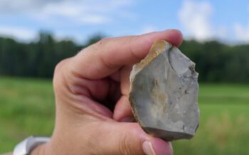 A closeup of a chert nodule which has been split open. Photo submitted