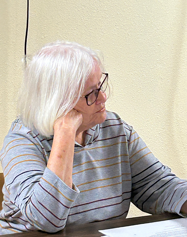 Gail Boyum presented CEDA’s Rural Capacity Program to the council. Photo by Wanda Hanson