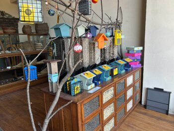 The Bishops found an antique seed display case to use for their bird supplies. The yellow finch feeder is one of their most popular items. Photo by Wanda Hanson