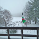Dreaming of a snowy day heading out to the Guberud Hill Tree Farm to get a Christmas tree. Photo submitted