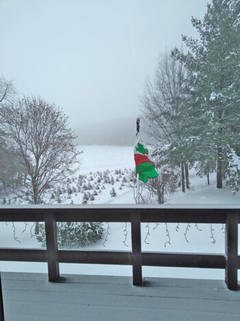 Dreaming of a snowy day heading out to the Guberud Hill Tree Farm to get a Christmas tree. Photo submitted