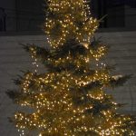 The Kingsley family decorates and lights the tree in the Cancer Memorial Garden every year. Photo by Charlene Corson Selbee