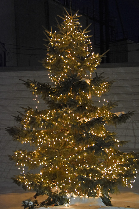 The Kingsley family decorates and lights the tree in the Cancer Memorial Garden every year. Photo by Charlene Corson Selbee
