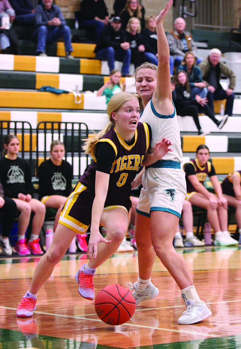 Rushford-Peterson’s Alannah Skalet (wearing a Peterson Tigers jersey) goes baseline closely defended by Fillmore Central’s Aubrey Daniels. FC led most of the game but survived a Trojan comeback to prevail 87-85 in overtime in a fiercely fought contest. Photo by Paul Trende