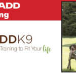 LADDK9 Dog Training