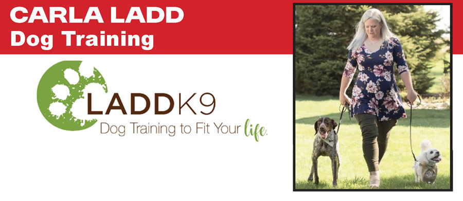 LADDK9 Dog Training