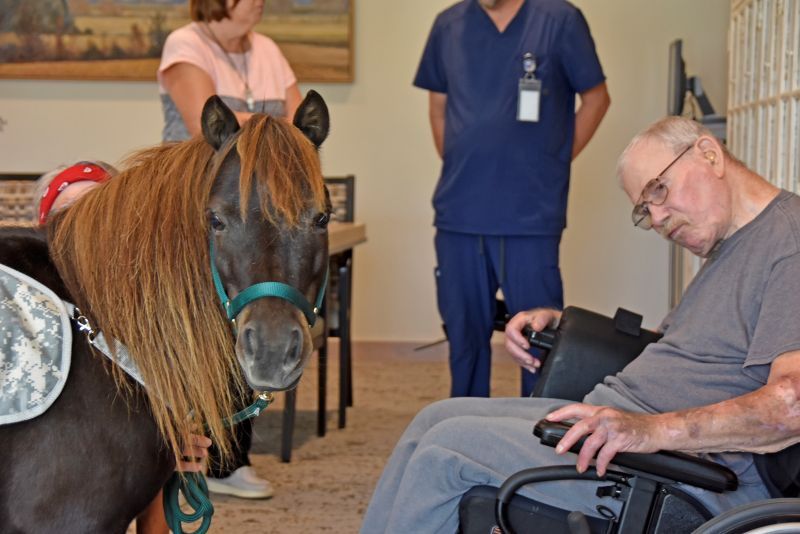 Denny, a resident at the Preston Veterans Home, and Baron the Brave eagerly stare at the photographer, wondering what she is doing. Photo by Charlene Corson Selbee