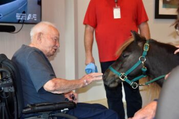 Baron the Brave demonstrates patience as he and Don get acquainted. Photo by Charlene Corson Selbee