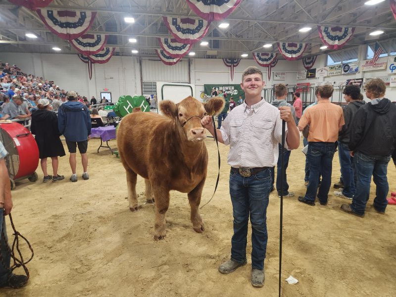 The Grand Meadow FFA Chapter was represented well at the Mower County Fair this summer with three members exhibiting in the FFA Beef, and two members exhibiting in the FFA Dairy show.