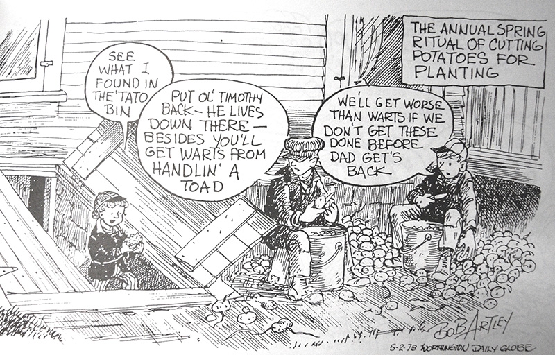 The annual spring ritual of cutting potatoes for planting.Cartoon by Bob Artley