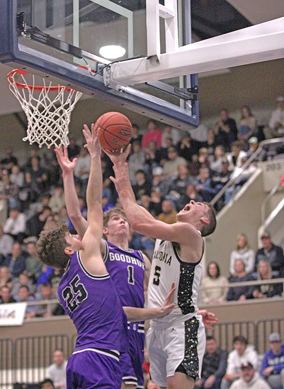 Caledonia’s Coby Hammell tries to get a reverse lay-up off against the interior defense of Luke Roschen (facing) and Cody Ryan in the Warriors tight 76-71 loss in the 1AA finals. Photo by Paul Trende