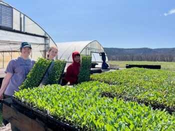 Featherstone crew members loading transplants for planting. Photo submitted