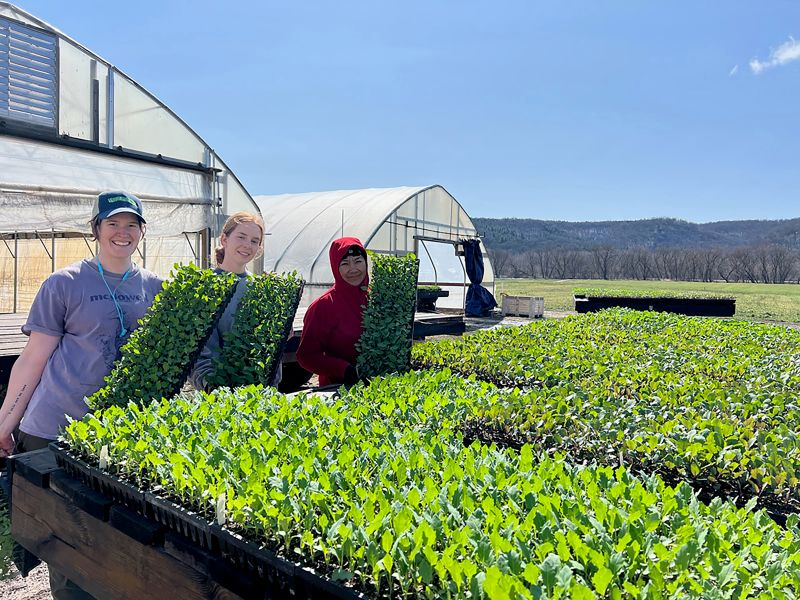Featherstone crew members loading transplants for planting. Photo submitted