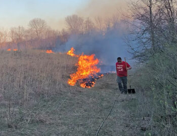 A native set aside field will be burned in this prescribed burn. Notice the mowed trail along the field to help contain the fire.