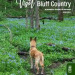 Pick up a copy of this year’s Visit Bluff Country visitor’s guide at area businesses and start making plans. Cover photo by Luke Bibby