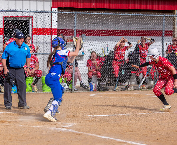 Softball: #2 Houston Ends Regular Season at 20-0